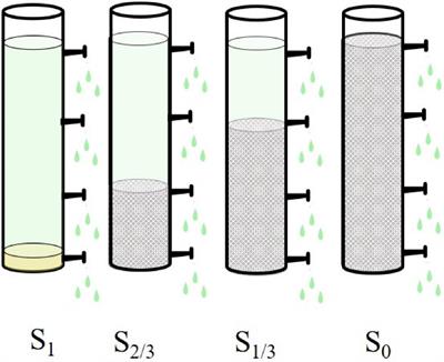 Effects of Solar Radiation on the Cyanobacteria: Diversity, Molecular Phylogeny, and Metabolic Activity